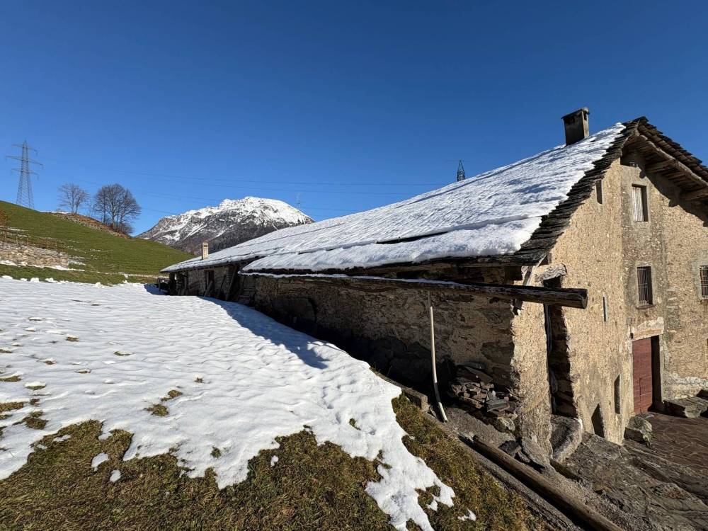 immagine annuncio 1 di 13