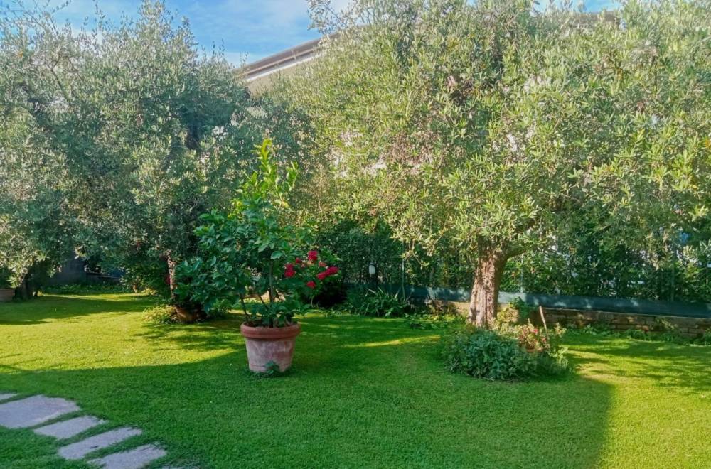 immagine annuncio 5 di 13