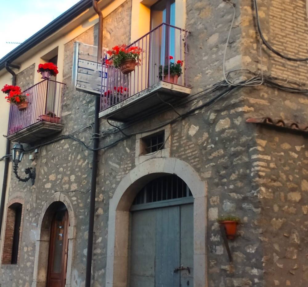 immagine annuncio 12 di 13