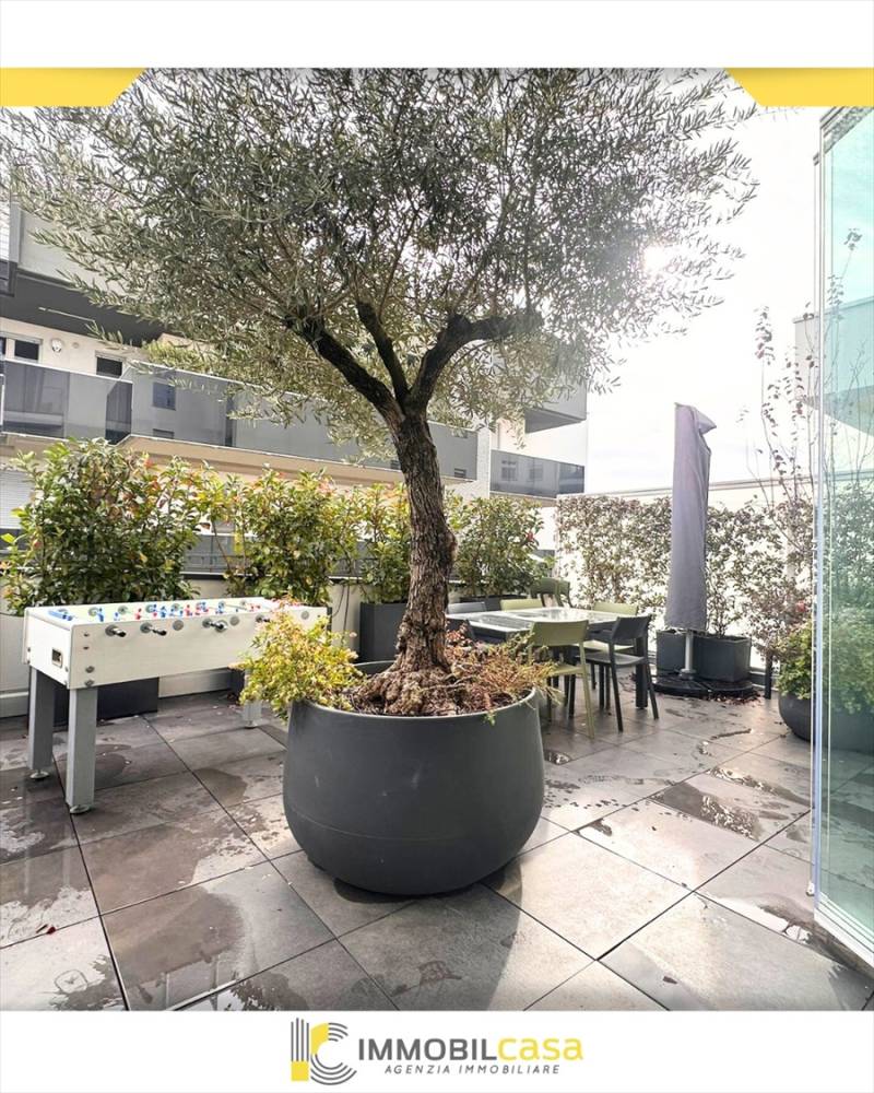 immagine annuncio 2 di 12