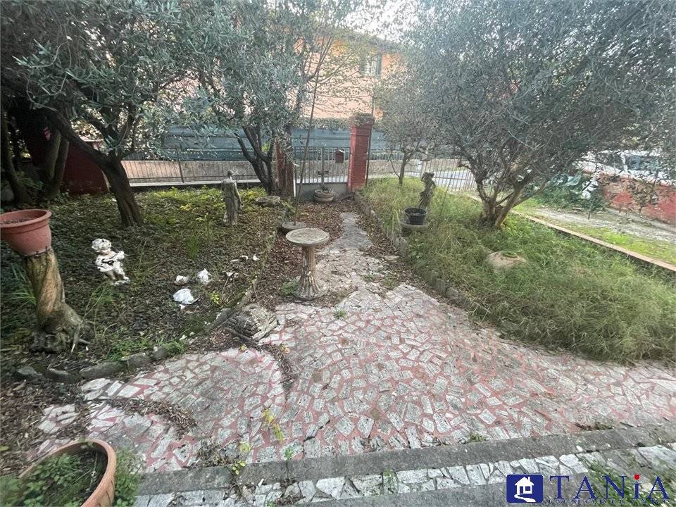 immagine annuncio 3 di 9