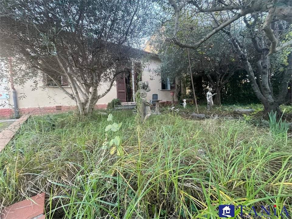 immagine annuncio 2 di 9