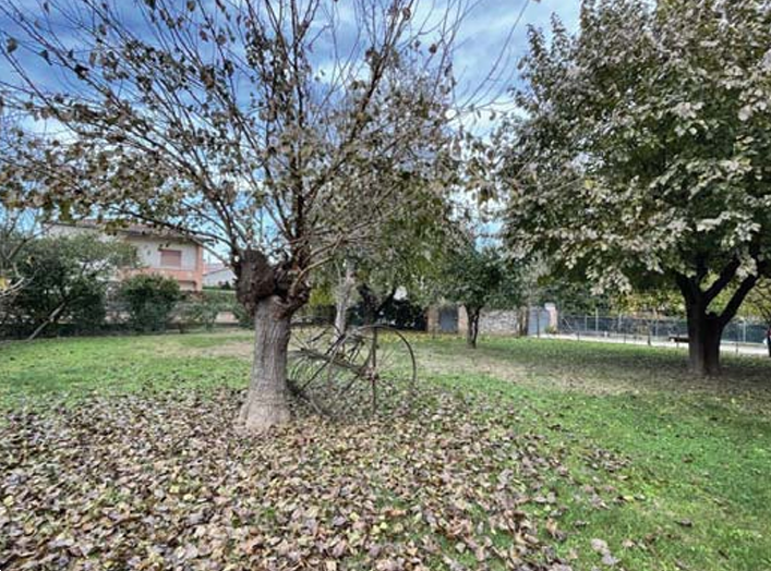 immagine annuncio 11 di 13