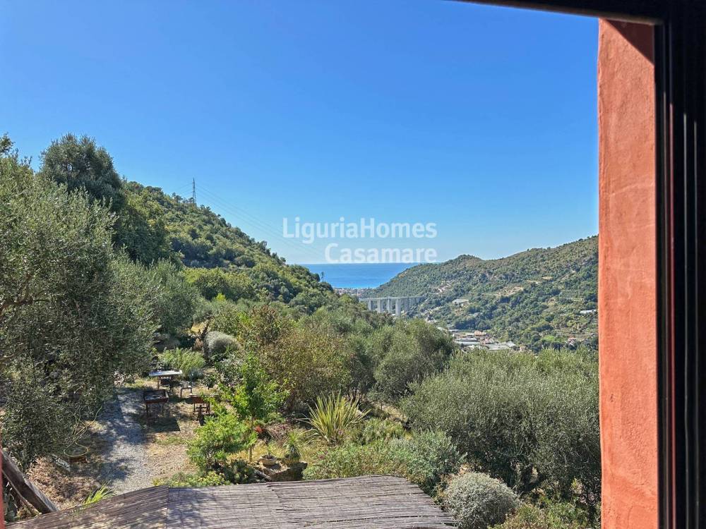 immagine annuncio 6 di 8