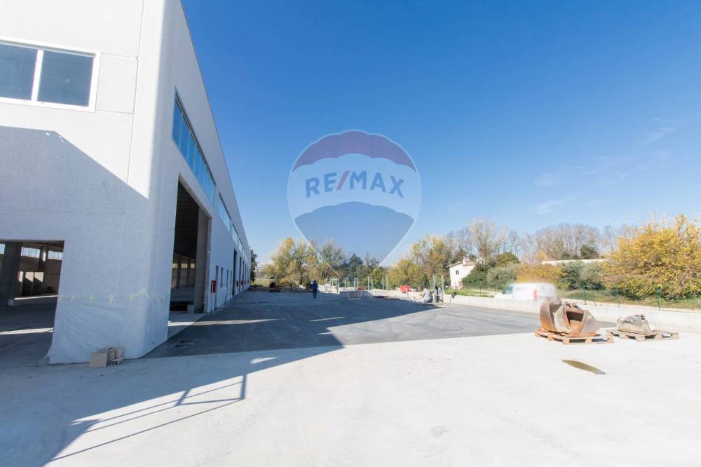 immagine annuncio 6 di 13