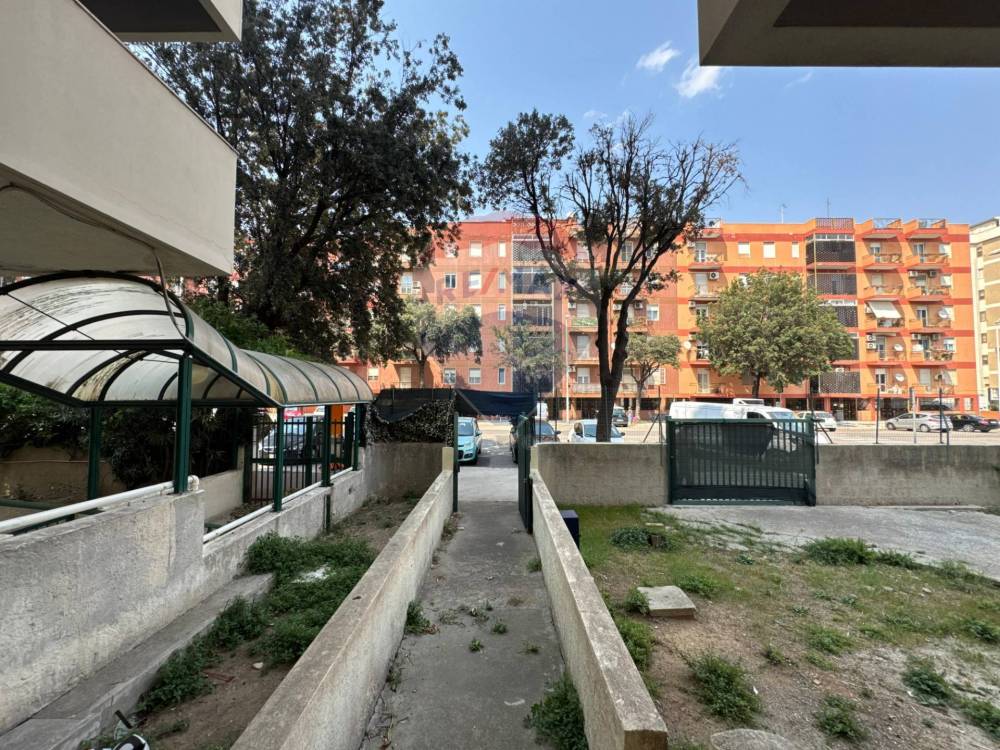 immagine annuncio 3 di 11