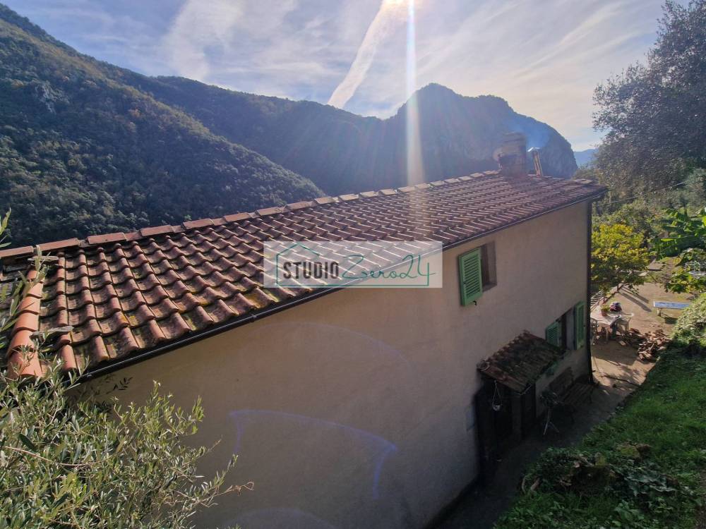 immagine annuncio 1 di 13