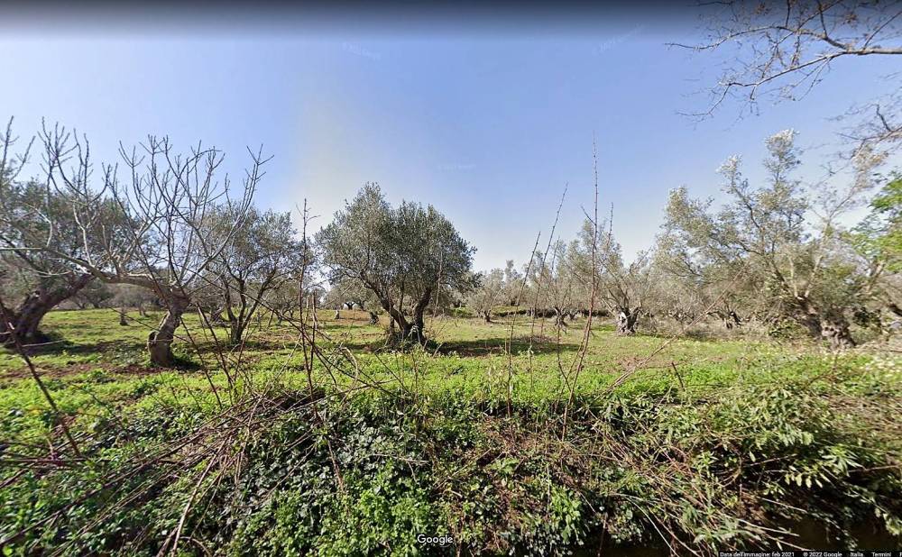 immagine annuncio 1 di 3