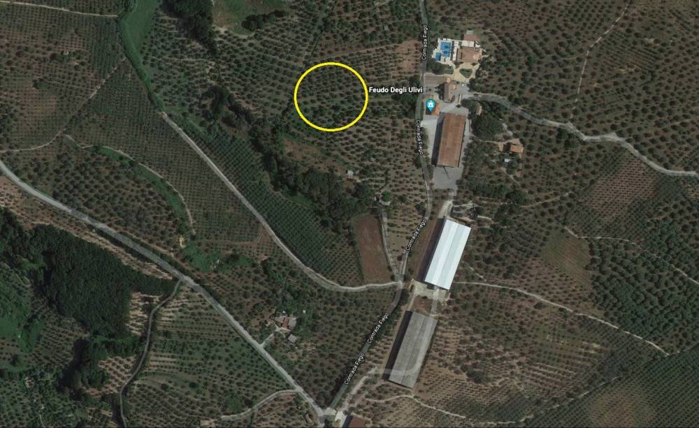 immagine annuncio 2 di 3