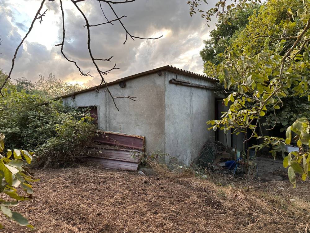 immagine annuncio 1 di 8