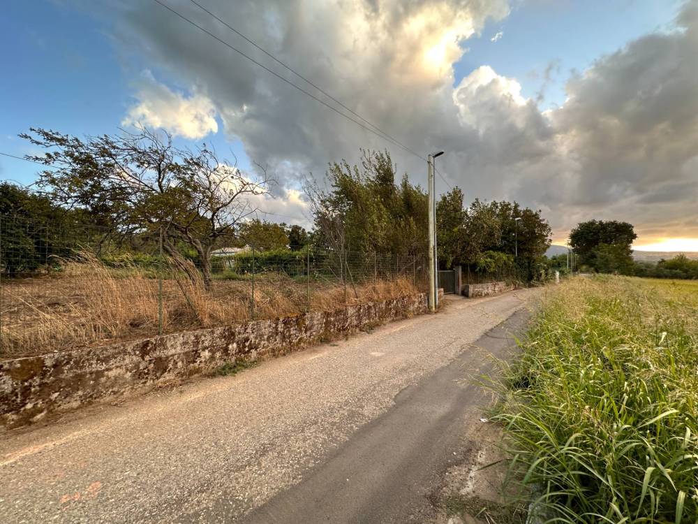 immagine annuncio 6 di 8