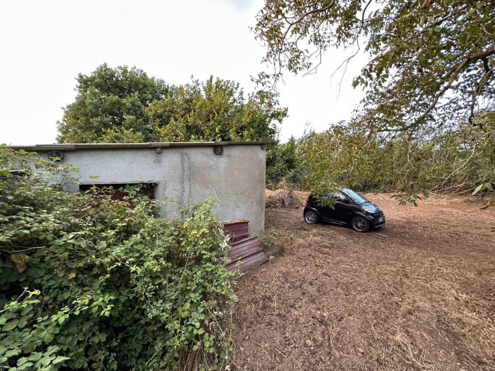 immagine annuncio 4 di 8