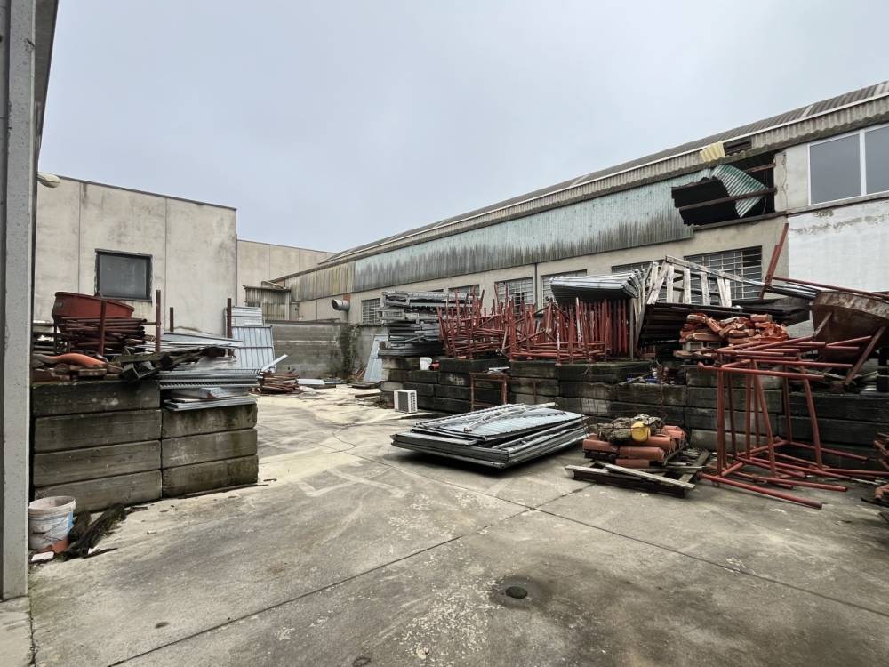 immagine annuncio 6 di 11