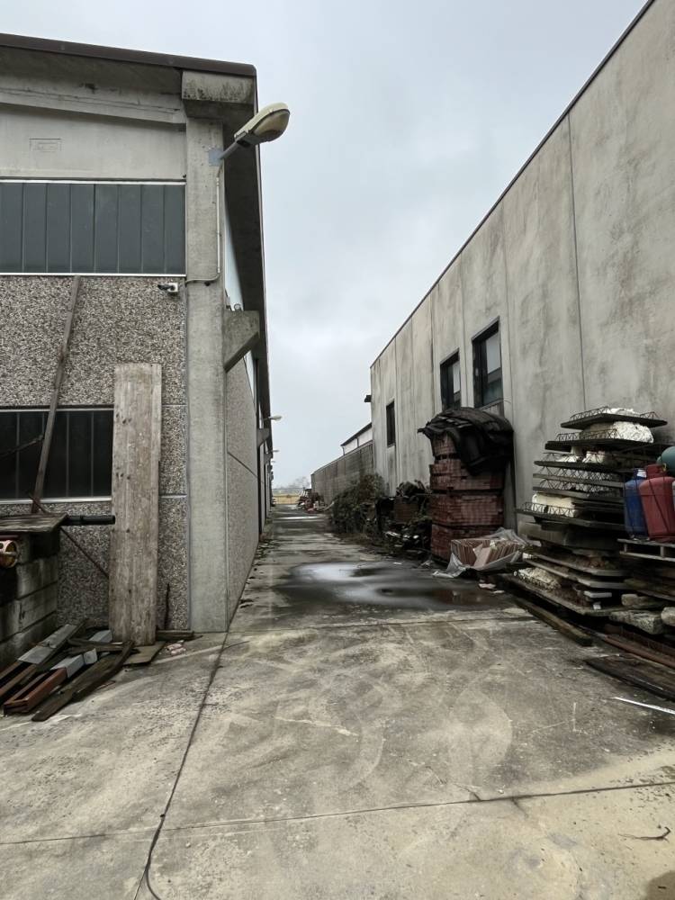 immagine annuncio 9 di 11