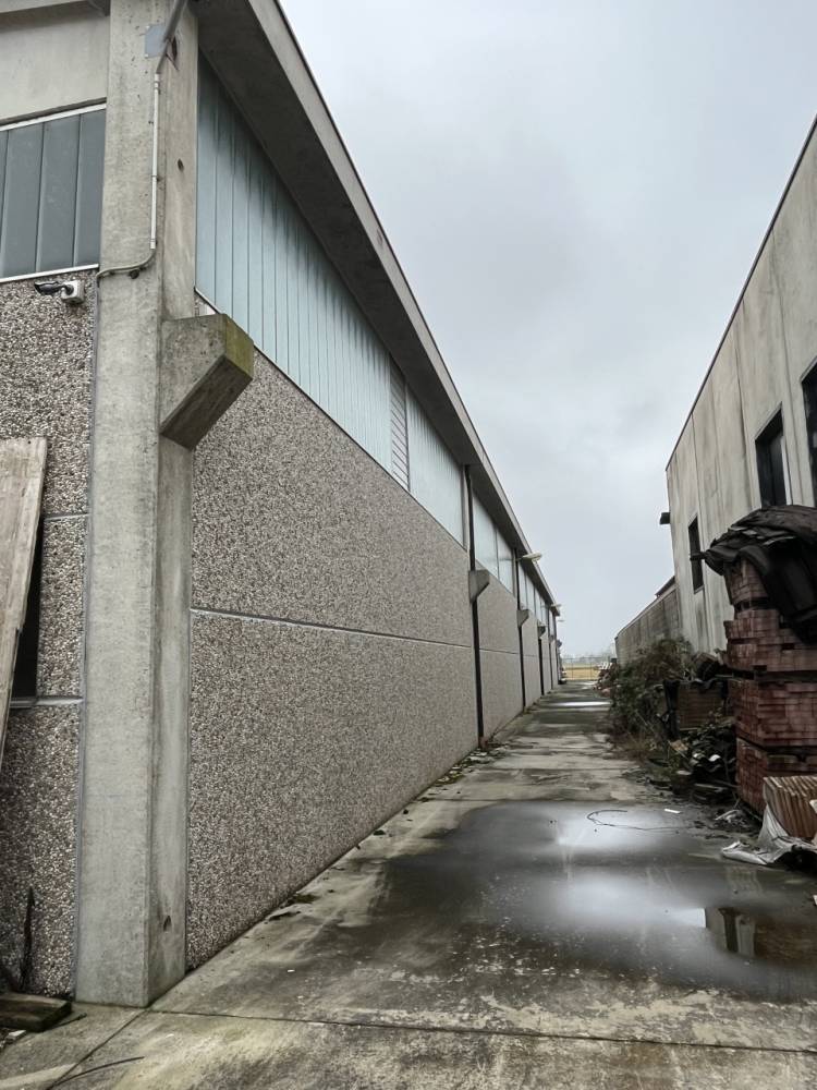 immagine annuncio 10 di 11