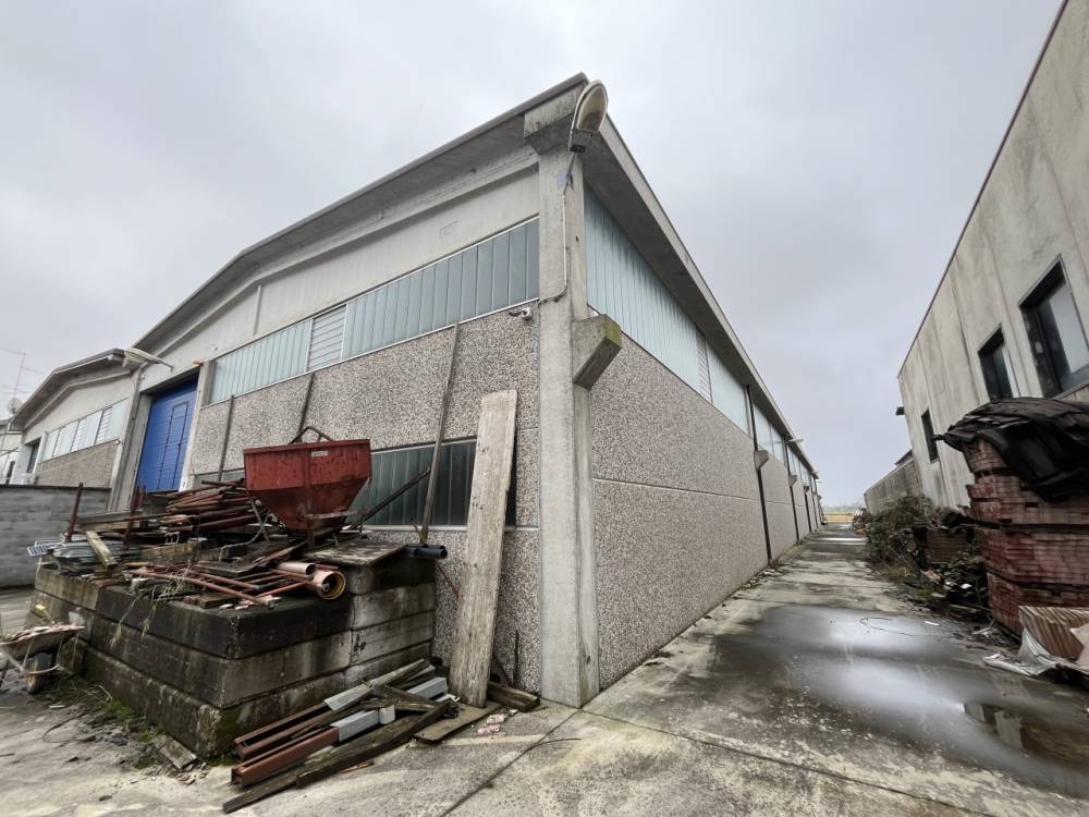 immagine annuncio 7 di 11