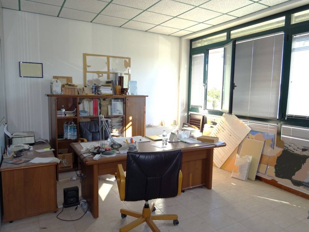 immagine annuncio 9 di 13