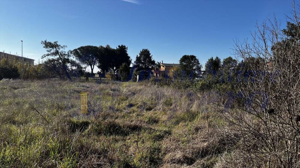 immagine annuncio 6 di 9