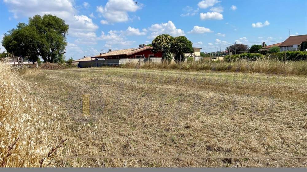 immagine annuncio 4 di 8