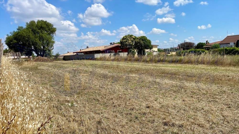 immagine annuncio 5 di 8