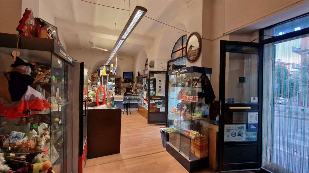 immagine annuncio 9 di 13