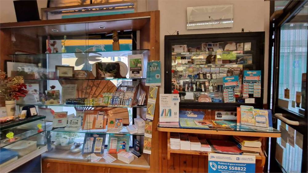 immagine annuncio 10 di 13