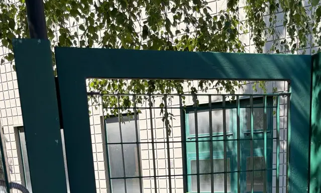 immagine annuncio 6 di 13