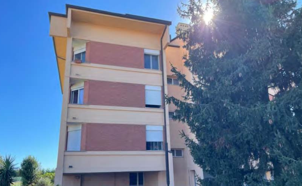 immagine annuncio 5 di 13