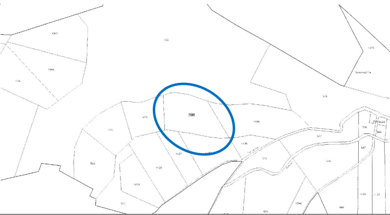 immagine annuncio 5 di 6