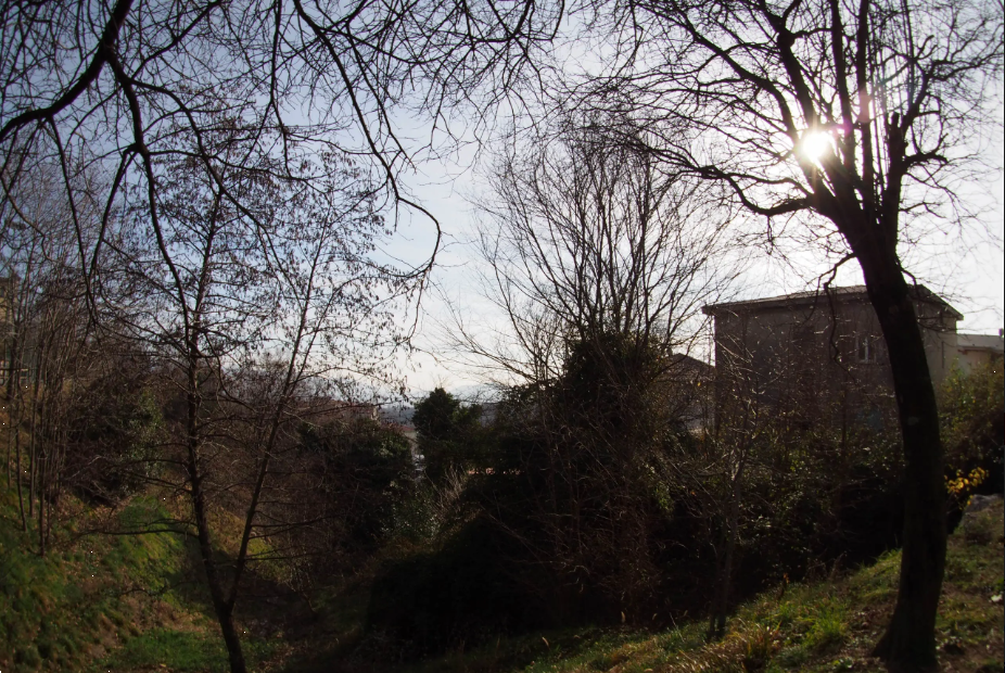 immagine annuncio 4 di 13