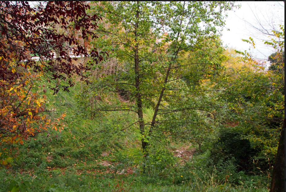 immagine annuncio 6 di 13