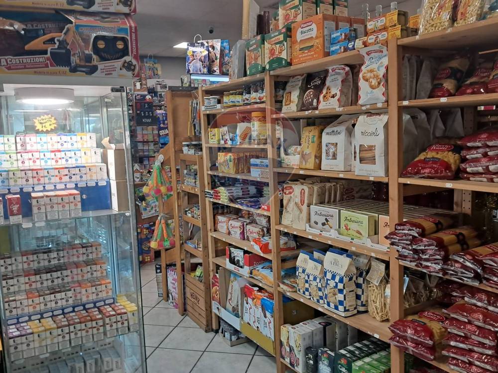 immagine annuncio 4 di 7