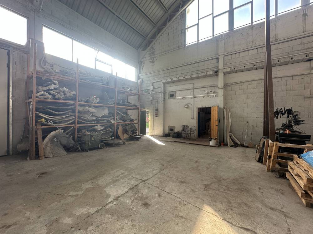 immagine annuncio 3 di 13