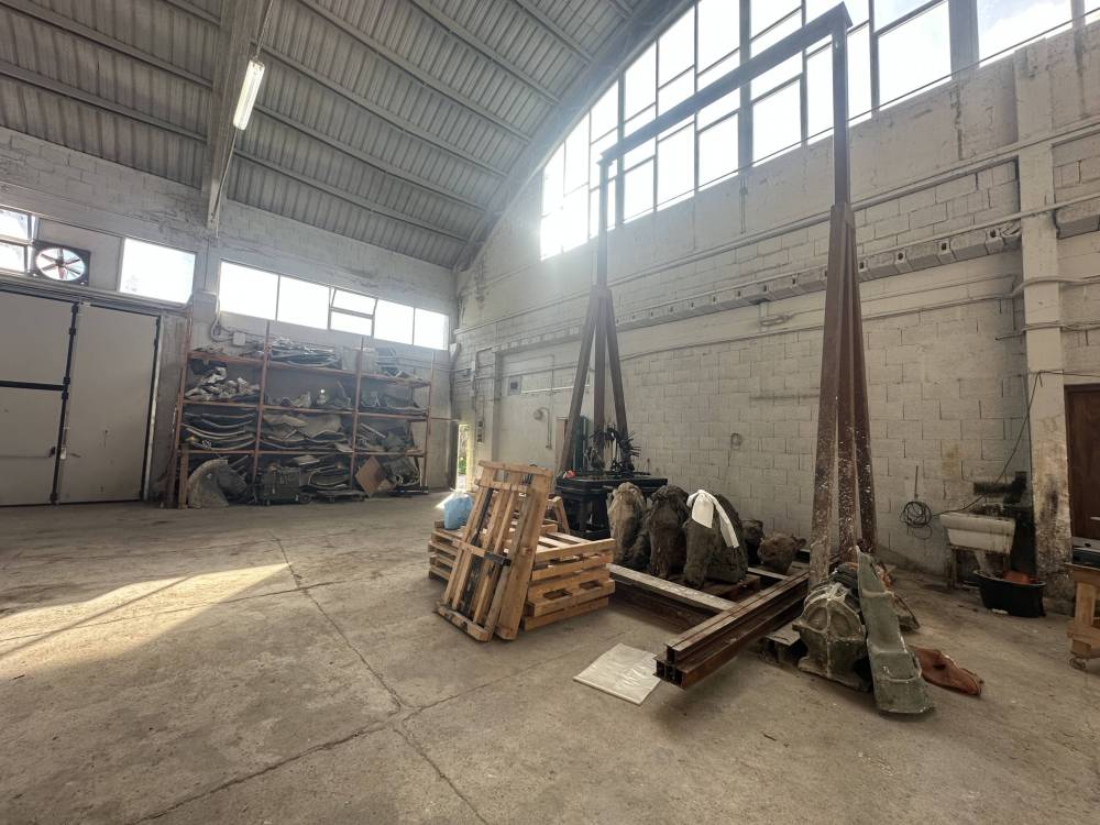 immagine annuncio 11 di 13