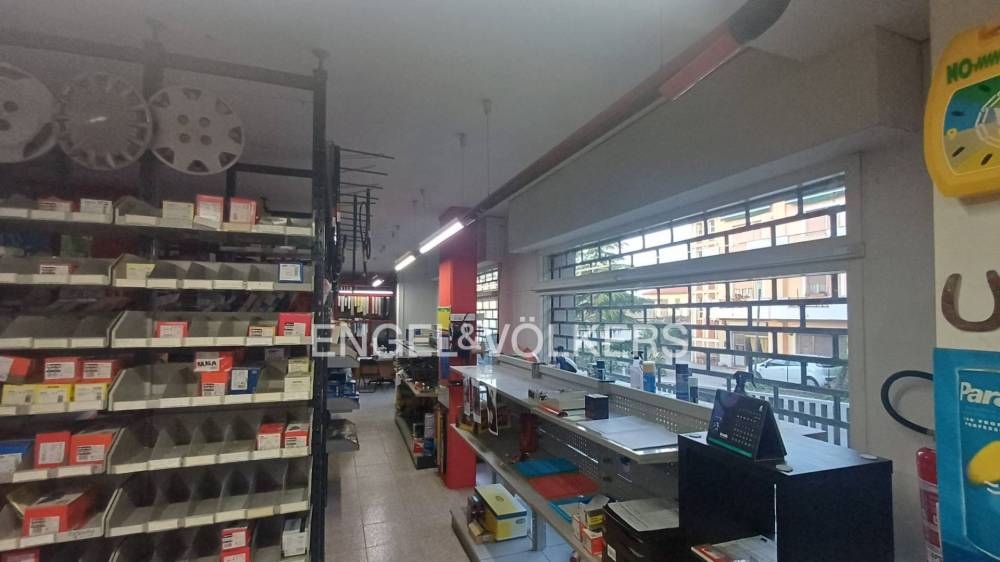 immagine annuncio 6 di 12