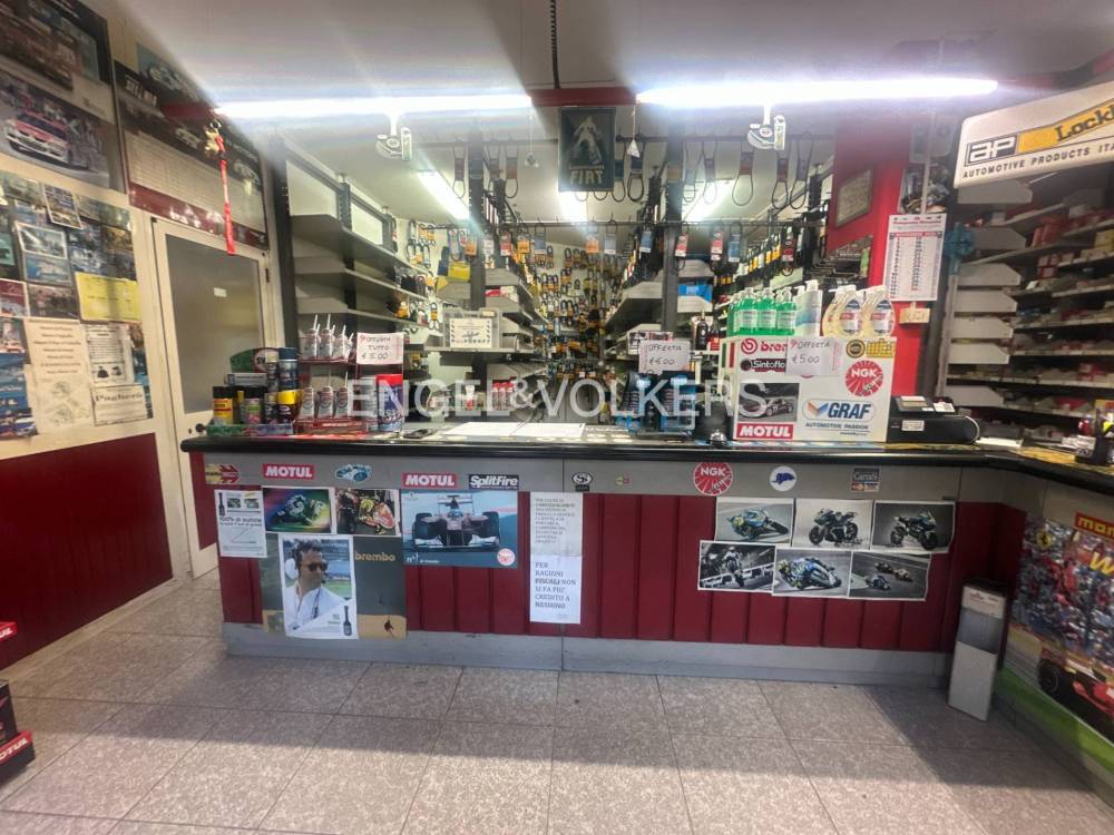 immagine annuncio 1 di 12