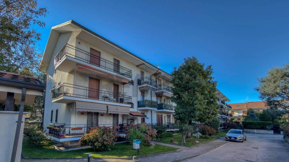 immagine annuncio 12 di 13