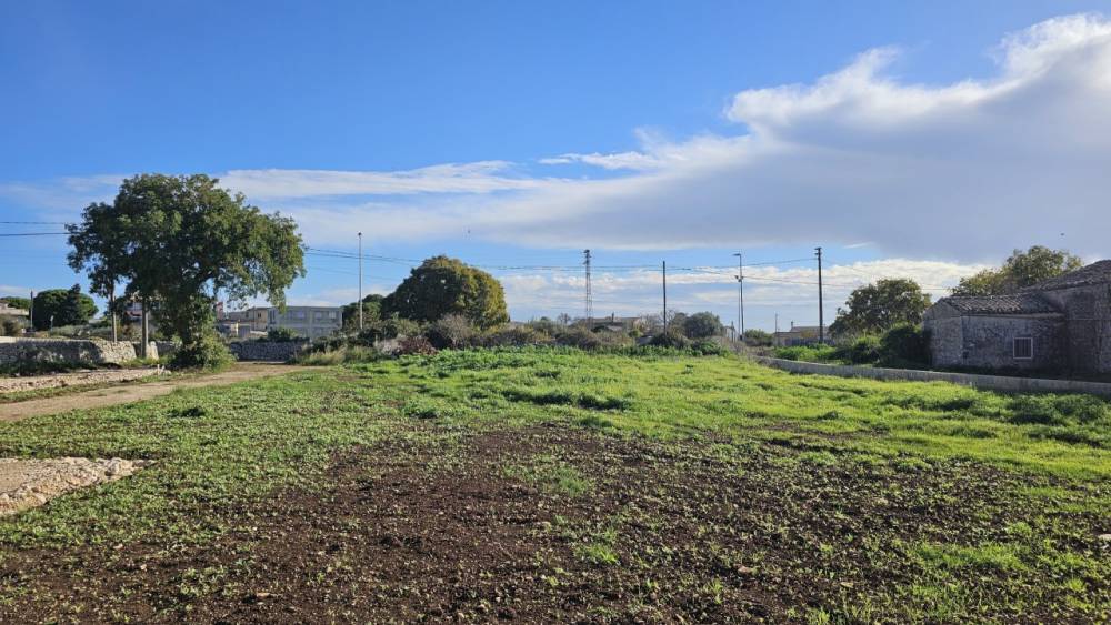 immagine annuncio 11 di 13