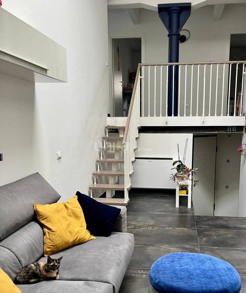 immagine annuncio 5 di 13