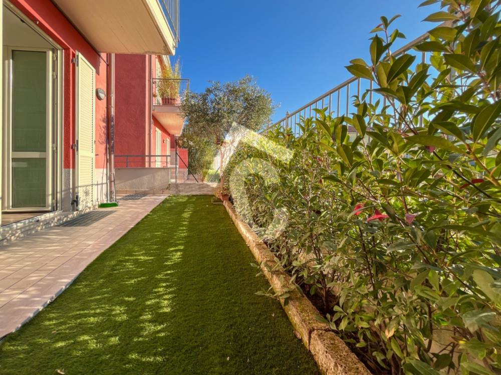 immagine annuncio 11 di 13