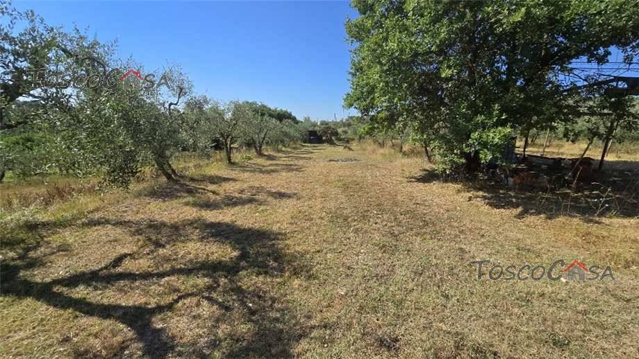 immagine annuncio 8 di 9