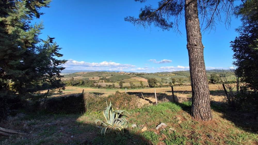 immagine annuncio 4 di 13