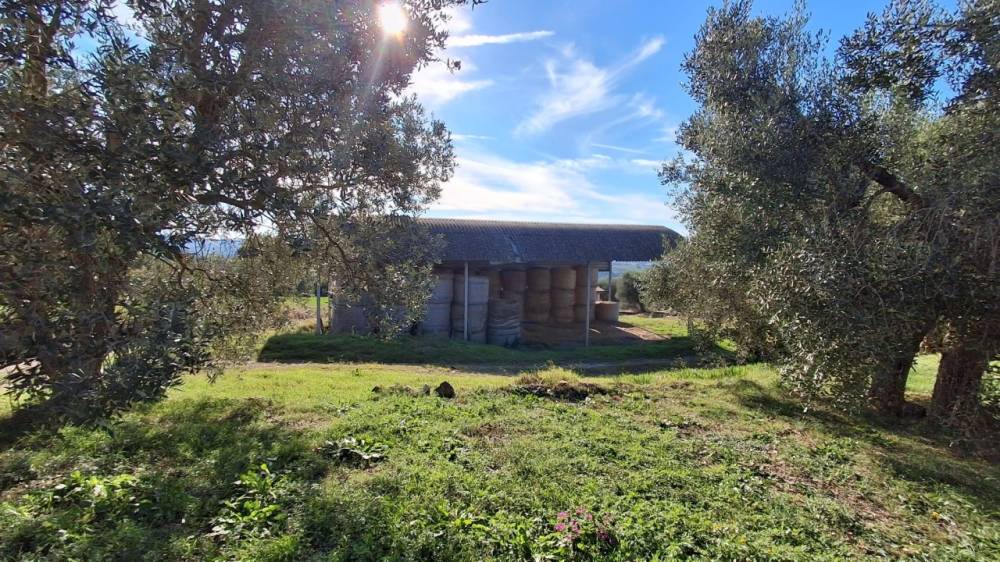 immagine annuncio 8 di 13