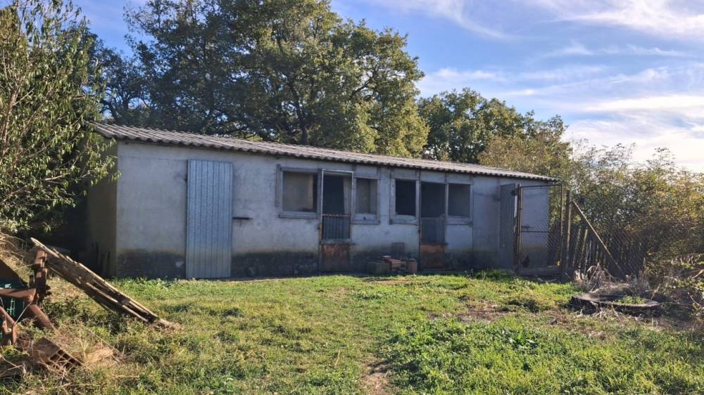 immagine annuncio 10 di 13