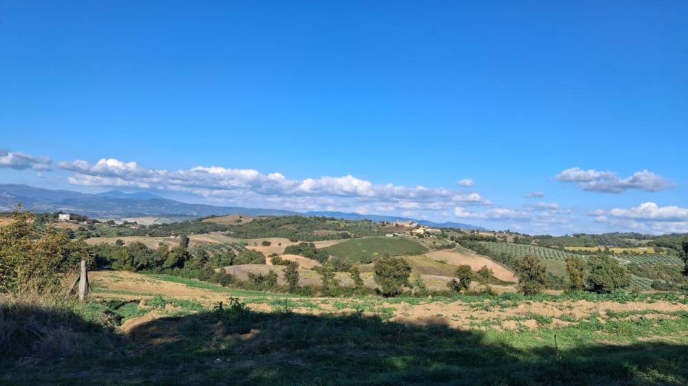 immagine annuncio 9 di 13