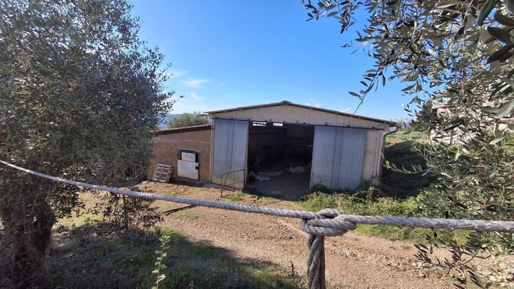 immagine annuncio 11 di 13