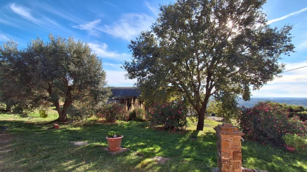 immagine annuncio 6 di 13