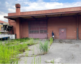 immagine annuncio 4 di 13