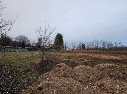 immagine annuncio 3 di 11