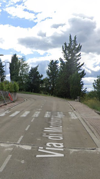 immagine annuncio 2 di 13